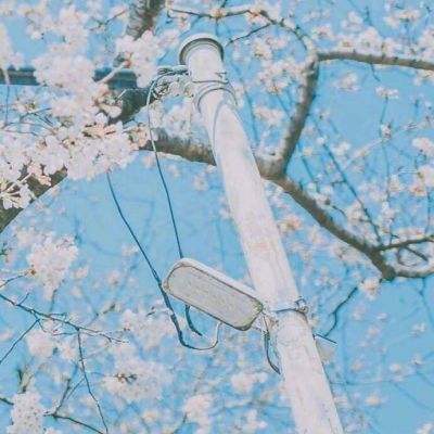 幻想卡牌传奇手游